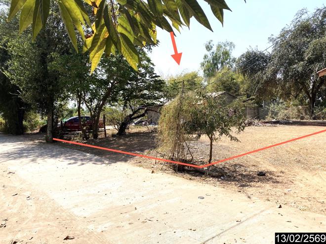 รูป ที่ดินว่างเปล่า สำหรับขาย - บุ่งแก้ว โนนสะอาด อุดรธานี - รูปที่ 2/22