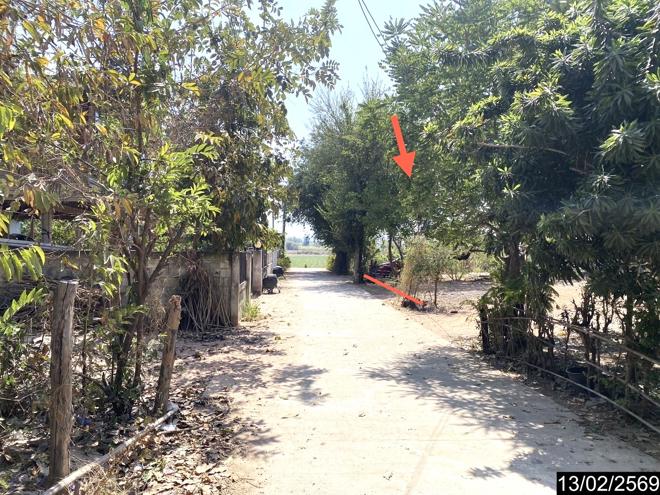 รูป ที่ดินว่างเปล่า สำหรับขาย - บุ่งแก้ว โนนสะอาด อุดรธานี - รูปที่ 9/22