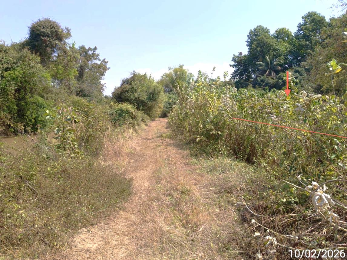 รูป ที่ดินว่างเปล่า สำหรับขาย - ดงป่าคำ เมืองพิจิตร พิจิตร - รูปที่ 10/14