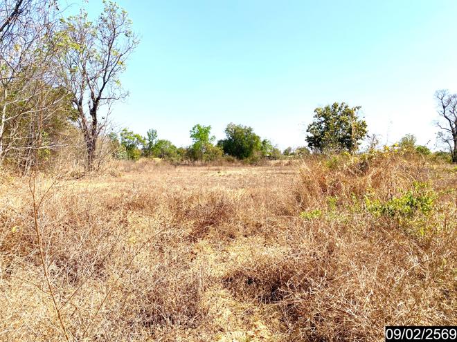 รูป ที่ดินว่างเปล่า สำหรับขาย - สามพร้าว เมืองอุดรธานี อุดรธานี - รูปที่ 6/18