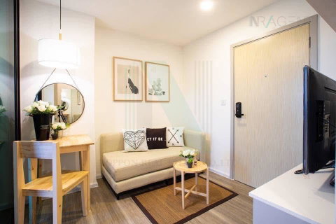 รูปภาพ For Rent Condo KENSINGTON KASET CAMPUS Building A, Floor 10,1 bed room, Room size 26 sqm