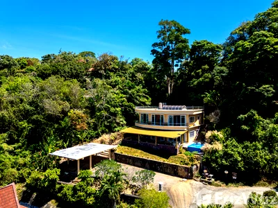 เช่าบ้านเดี่ยว ภูเก็ต : วิลล่าให้เช่า 3 ห้องนอน ใน กะรน, ภูเก็ต 6084389