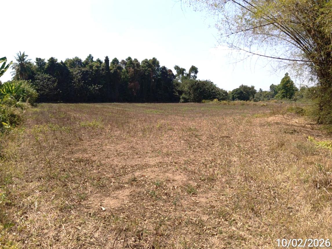 รูป ที่ดินว่างเปล่า สำหรับขาย - ดงป่าคำ เมืองพิจิตร พิจิตร - รูปที่ 8/14