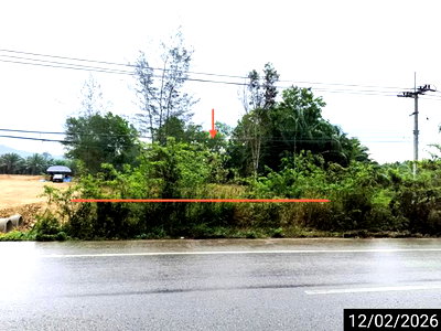 Land for sale Sawi Chumphon : LAND 1479 Sq.w. Sawi Chumphon for 5.8M