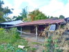 listing thumbnail image 12