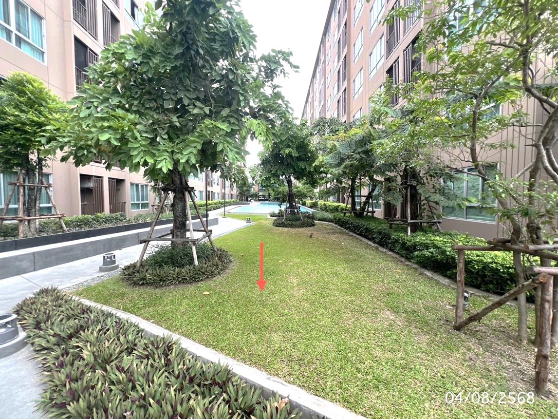 รูป คอนโดมิเนียม 1 ห้องนอน, 26.9 ตารางเมตร คอนโดมิเนียม สำหรับขาย ดีคอนโด แคมปัส กำแพงแสน กำแพงแสน กำแพงแสน นครปฐม - รูปที่ 18/24