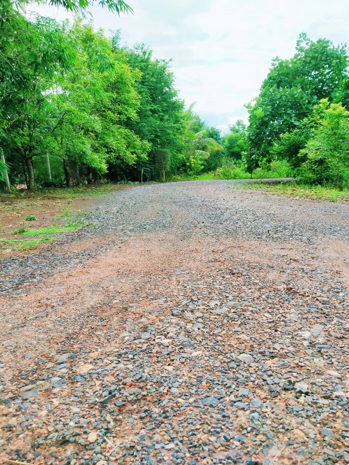 รูป ขายด่วน บ้านชั้นเดียว ทำเลดี 4 นอน 4 น้ำ 2 รับแขก 5 จอด เนื้อที่ 3 ไร่ 10 ตร.ว. อ.ด่านขุนทด นครราชสีมา - รูปที่ 14/49