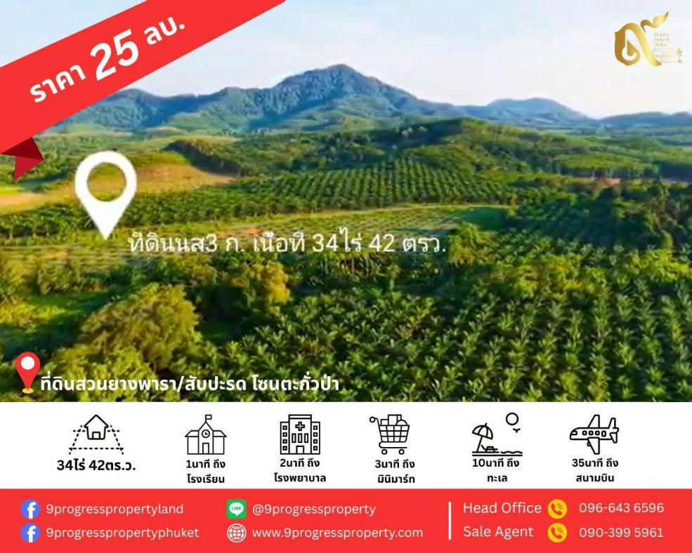 รูป ที่ดินสวนสัปปะรด ท่าอยู่ พังงา - รูปที่ 2/13