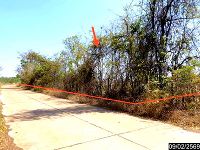 LAND 4030 Sq.w. Muang Udon Thani Udon Thani for 6.2M