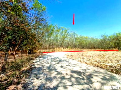 Land for sale Si Bun Ruang Nong Bua Lam Phu : LAND for sale  Non Sa-at Si Bun Ruang Nong Bua Lam Phu