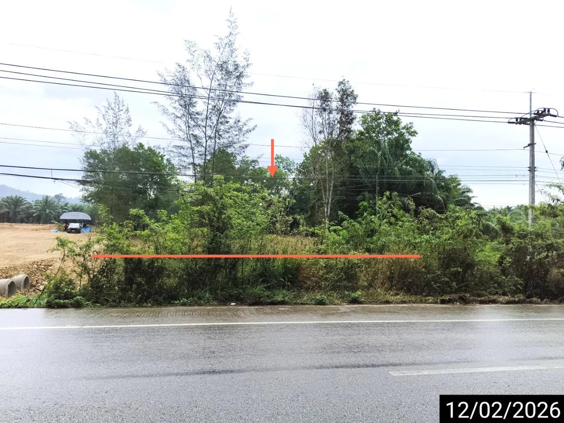 รูป ที่ดินว่างเปล่า สำหรับขาย - ครน สวี ชุมพร - รูปที่ 10/22