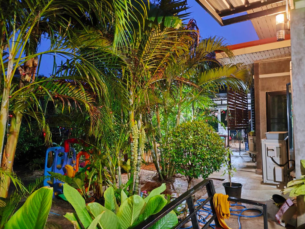 รูป ขายด่วน บ้านชั้นเดียว ทำเลดี 4 นอน 4 น้ำ 2 รับแขก 5 จอด เนื้อที่ 3 ไร่ 10 ตร.ว. อ.ด่านขุนทด นครราชสีมา - รูปที่ 48/49