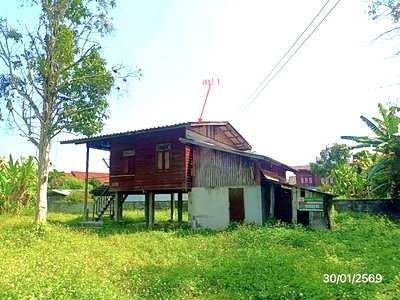 Houses for sale Chiang Rai : HOME for sale  Muang Phan Phan Chiang Rai