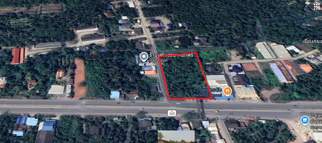 รูป ที่ดินทำเลทองติดถนนหลักทางหลวงแผ่นดิน325 (บางแพ-สมุทรสงคราม)  ต.บางกระบือ อ.บางคนที จ.สมุทรสงคราม 3-2-88 ไร่    - รูปที่ 3/6