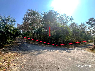 LAND 688 Sq.w. Mae Sod Tak for 6.5M