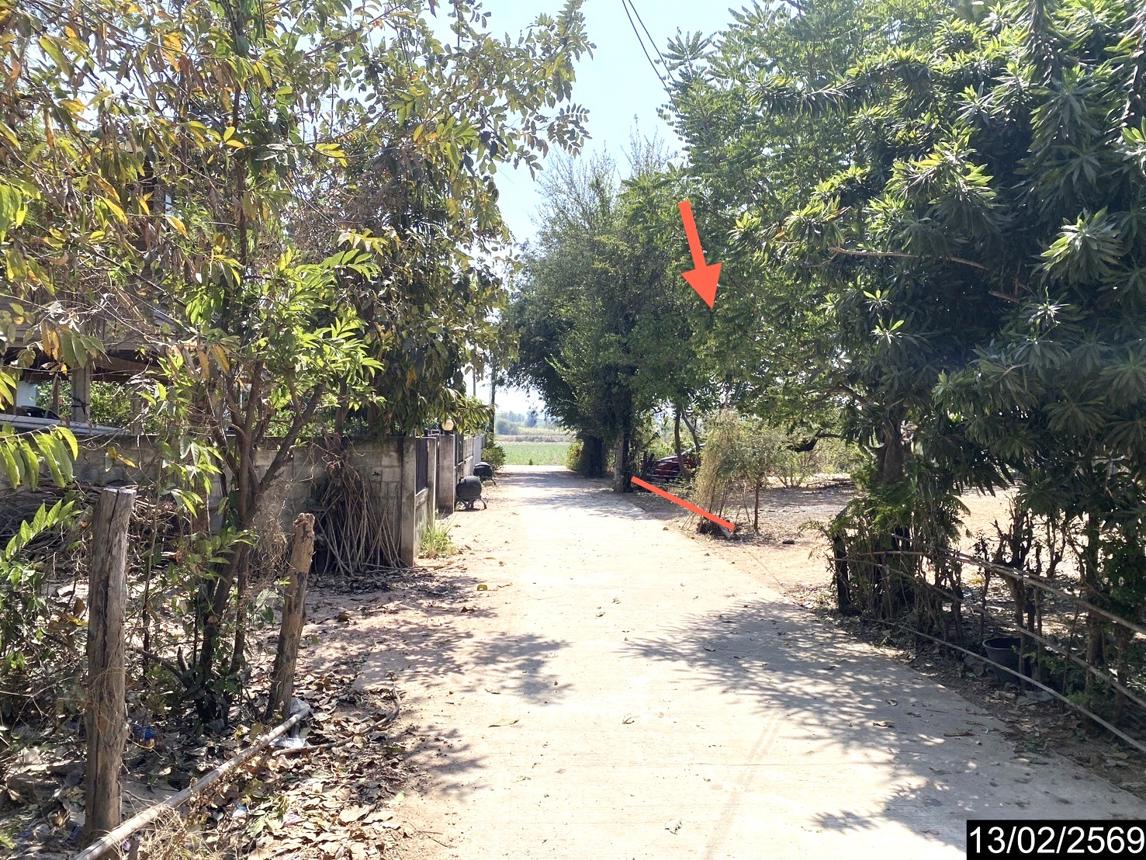 รูป ที่ดินว่างเปล่า สำหรับขาย - บุ่งแก้ว โนนสะอาด อุดรธานี - รูปที่ 18/22