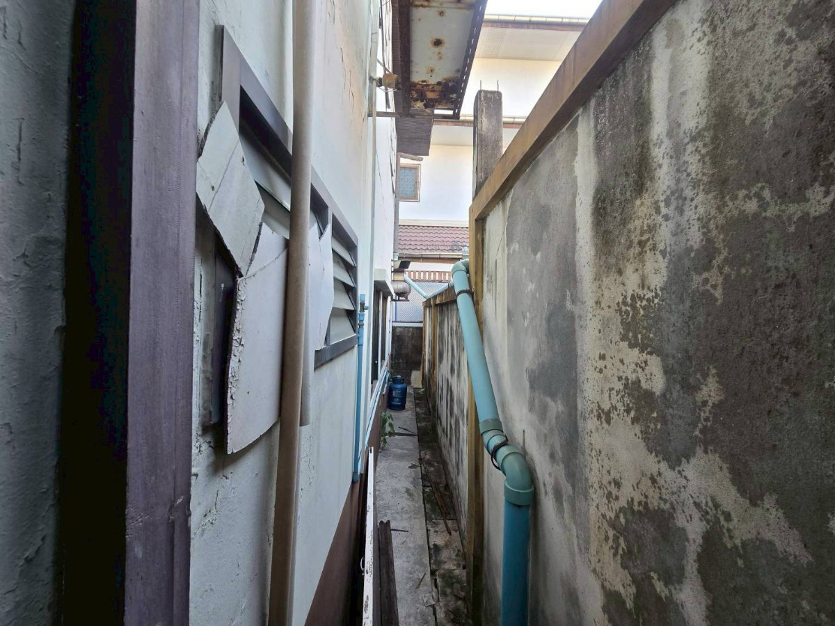 รูป ขายที่ดินแปลงสวย พร้อมบ้าน 2 ชั้น สุขุมวิท 65 ซ.ชัยพฤกษ์แยก10 ใกล้ BTS เอกมัย (N.2023) - รูปที่ 11/12