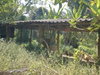 listing thumbnail image 15