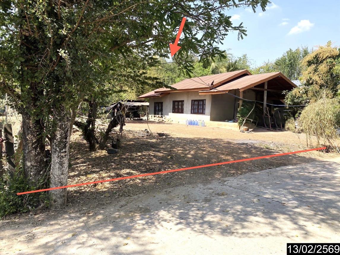 รูป ที่ดินว่างเปล่า สำหรับขาย - บุ่งแก้ว โนนสะอาด อุดรธานี - รูปที่ 14/22