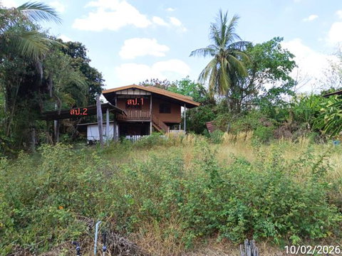 บ้านเดี่ยว 200 ตร.วา ตะพานหิน พิจิตร 1.3M