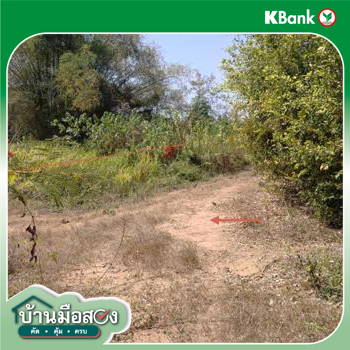 รูป ที่ดินว่างเปล่า สำหรับขาย - ดงป่าคำ เมืองพิจิตร พิจิตร - รูปที่ 12/14