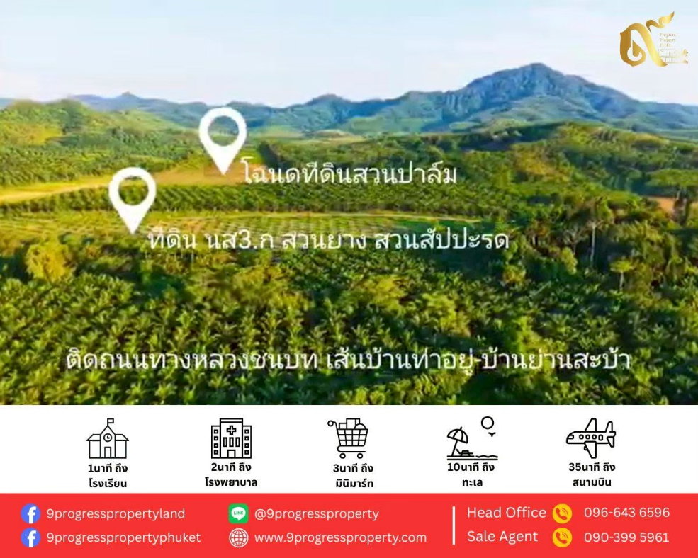 รูป ที่ดินสวนสัปปะรด ท่าอยู่ พังงา - รูปที่ 3/13