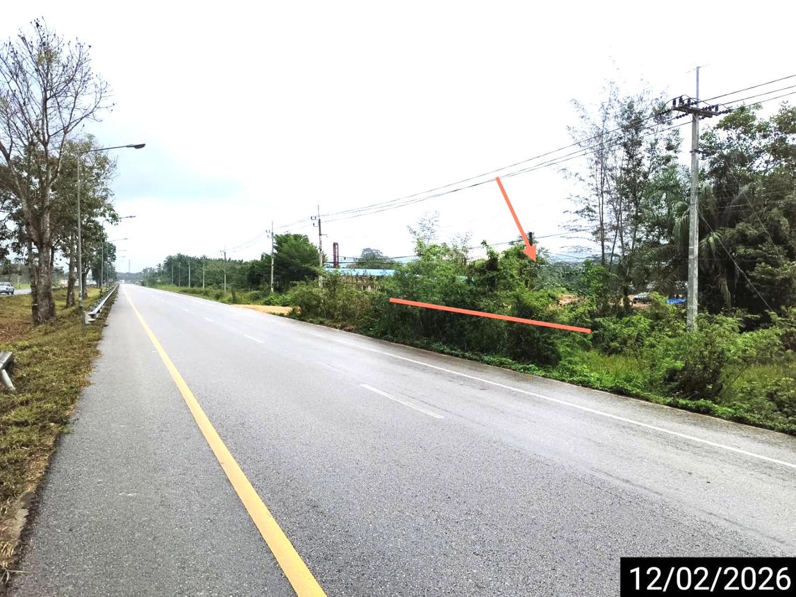 รูป ที่ดินว่างเปล่า สำหรับขาย - ครน สวี ชุมพร - รูปที่ 17/22