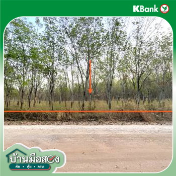 รูป ที่ดินว่างเปล่า สำหรับขาย - โนนสะอาด ศรีบุญเรือง หนองบัวลำภู - รูปที่ 12/14