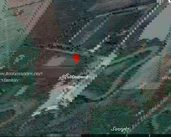 รูป ขายที่ดิน วิวสวย จ.นครพนม  (เนื้อที่  34 ไร่) - รูปที่ 4/4