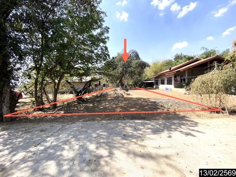 รูป ที่ดินว่างเปล่า สำหรับขาย - บุ่งแก้ว โนนสะอาด อุดรธานี - รูปที่ 19/22