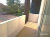 listing thumbnail image 25