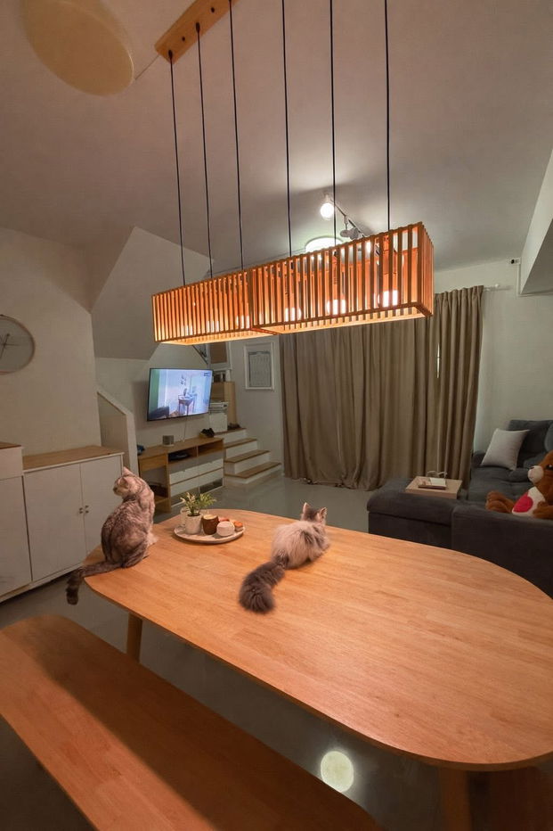 รูป 🏡 บ้านให้เช่า พร้อมอยู่ หมู่บ้านพรีโน่ บางนา – อ่อนนุช (กิ่งแก้ว 37) 3 ห้องนอน 2 ห้องน้ำ ขนกระเป๋าเข้าอยู่ได้ทันที | เลี้ยงสัตว์ได้ - รูปที่ 3/11