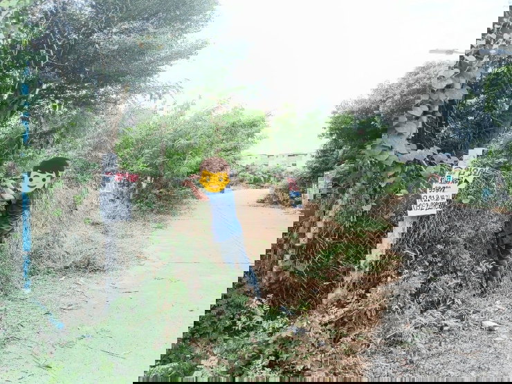 รูป ที่ดินบางนาตราด 99 ตารางวา ถมแล้ว ซอยบางนาตราด49 - รูปที่ 6/7