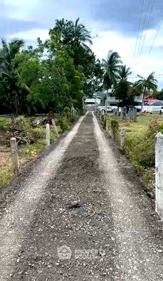 ที่ดิน เกาะสมุย สุราษฎร์ธานี : ที่ดินสำหรับปล่อยขาย 1,040 ตารางเมตร แถว ใกล้ หาดแหลมเส็ด (ID 2718871)