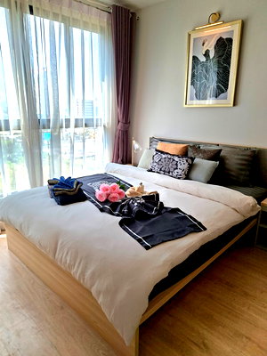 ขายคอนโด : Ideo O2 บางนา ห้องสวย ชั้น 11 วิวเมือง เฟอร์ครบเดินไป BTS ได้