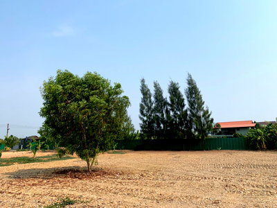 เช่าที่ดิน วิทยาลัยเทคนิคกาญจนาภิเษกมหานคร : ที่ดินให้เช่า ถนนบึงขวาง ทางลัดร่มเกล้า สุวินทวงศ์ มีนบุรี รามคำแหง สุวรรณภูมิ