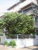 listing thumbnail image 4