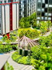 listing thumbnail image 62