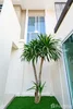 listing thumbnail image 16