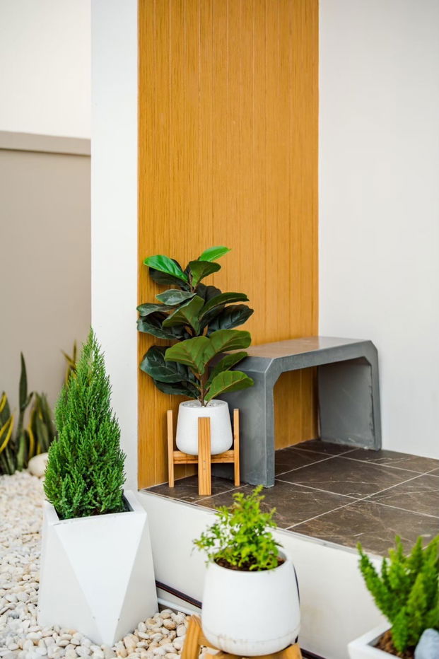 รูป 🔥 ขายบ้านพักตากอากาศ พูลวิลล่าสำหรับครอบครัว เวลาอยากเที่ยวก็แวะมา พอกลับบ้านก็มีคนดูแลบ้านให้อย่างดีแถมจ่ายค่าเช่าให้อีก 35,000 บาท/เดือน Yeild 5% - รูปที่ 29/51