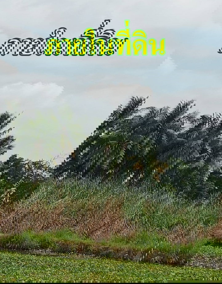 รูป ขายที่ดินติดคลองธรรมชาติ 4 ไร่ 2 งาน 76 ตรว. ใกล้สถานีรถไฟฟ้าสายสีม่วงตอนใต้ , ใกล้ทางด่วนกาญจนาภิเษก ประชาอุทิศ 76 เขตทุ่งครุ กรุงเทพฯ - รูปที่ 4/6