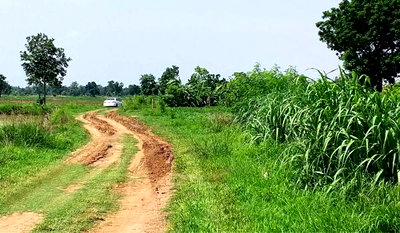 Land for sale : Land for sale, suitable for gardening, buy for speculation, Nakhon Rat