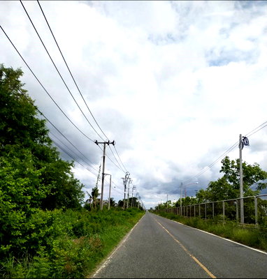 ที่ดิน อมตะนคร : ขายที่สีม่วงถมแล้ว  37  ไร่ สร้างโรงงาน,โกดัง ต.บางนาง อ.พานทอง จ.ชลบุรี