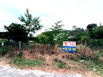 ที่ดิน วิทยาลัยนานาชาติราฟเฟิลส์ : ขายที่ดินหมู่บ้านสันตินคร บางนาตราด เนื้อที่  99 ตารางวา ถมแล้ว ซอยบางนาตราด49