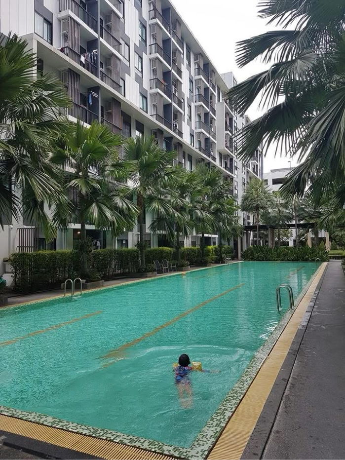 รูป ปล่อยเช่าไอ คอนโด สุขุมวิท 105/iCondo Sukhumvit 105#MRTศรีลาซาล1.3km,BTSแบริ่ง4km - รูปที่ 7/9