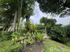 listing thumbnail image 36