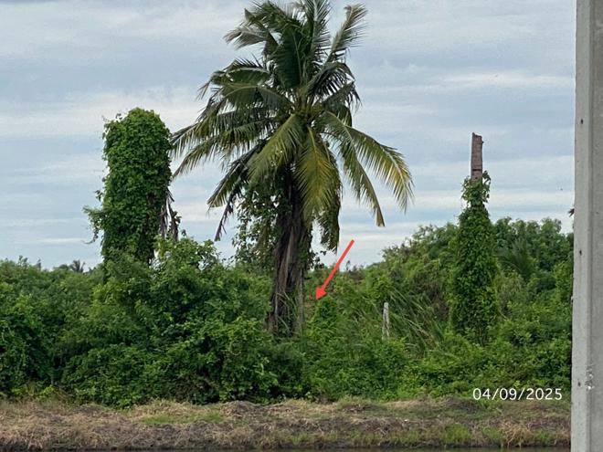 รูป บ้านเดี่ยว สำหรับขาย - บางระกำ นครชัยศรี นครปฐม - รูปที่ 3/16