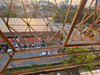 listing thumbnail image 14