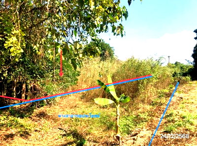 Land for sale : LAND for sale  Mae Pa Mae Sod Tak