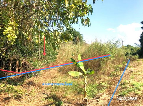 LAND 195.3 Sq.w. Mae Sod Tak for 2M